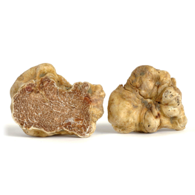 Fresh_White_Truffle.jpg